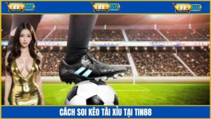 Cách soi kèo Tài Xỉu