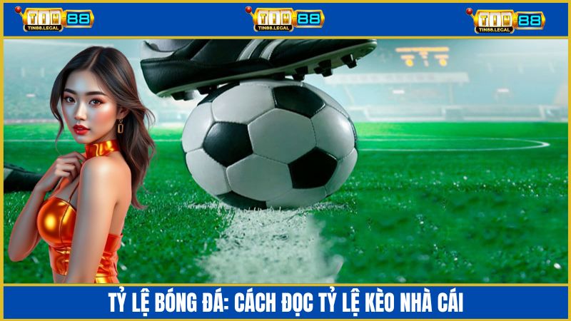 tỷ lệ bóng đá