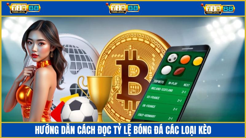 Hướng dẫn cách đọc tỷ lệ bóng đá nhà cái