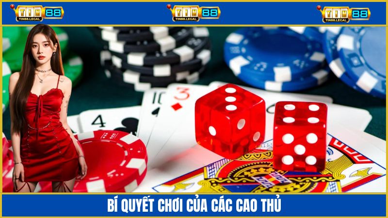 Bí quyết chơi bài từ các cao thủ của Tin88